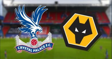 Prediksi Crystal Palace vs Wolves